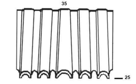 Alsafix WN-25/35 crocodile staples (Box of 5000)