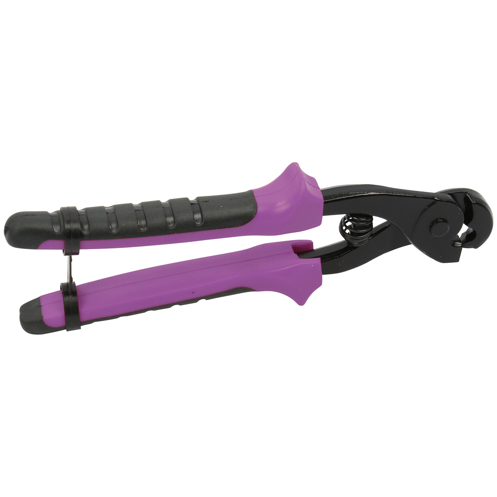 Parrot clamp