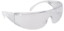 [EP007910] Polycarbonate glasses or overglasses (for small frames)