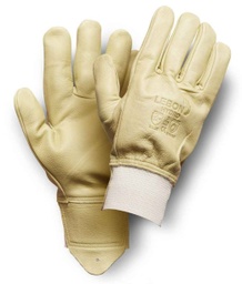 [EP008077] Hydrograin glove