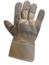 GANT DOCKER CROUTE BOVIN T10  (stock Export)  