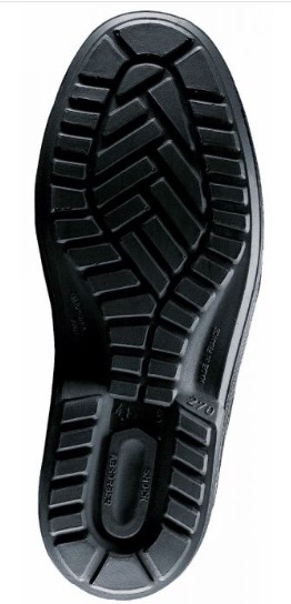 Chaussure basse Pegase S3