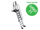 MAD4 platinum telescopic access tool