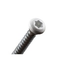 Vis de réglage menuiserie sur support bois 6X100 9016 blanche SPTR-V6 (boite de 100)