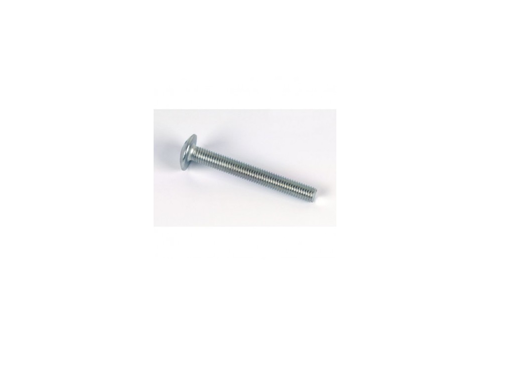 Vis poeliers TRL M6X100 zinguée (Boite de 100)