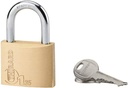 Type 1+ Padlock - 35 mm