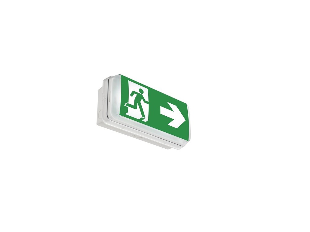 IP65 2W LED emergency block with 1Ml RO2V 3G1.5 cable connected