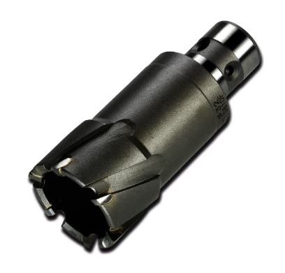 Fraise carbure ultra D14 L35 FEIN emmanchement QuickIN - A l'unité