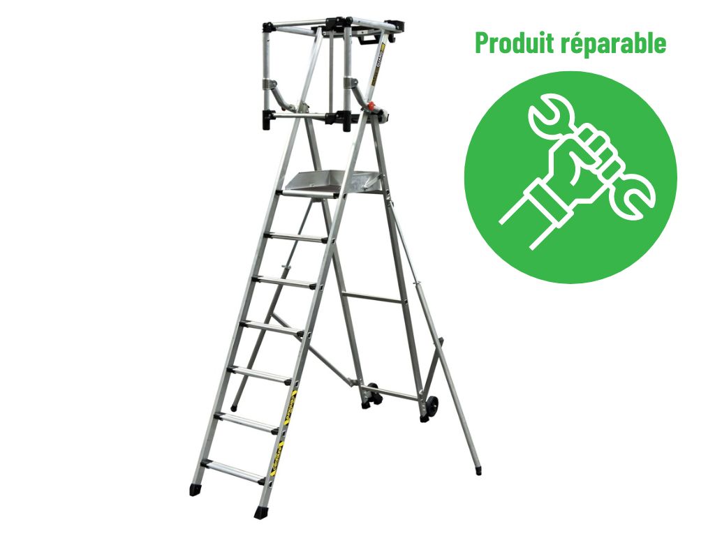 Plate-forme individuelle MASTERGUARD 6 marches stabilisateur