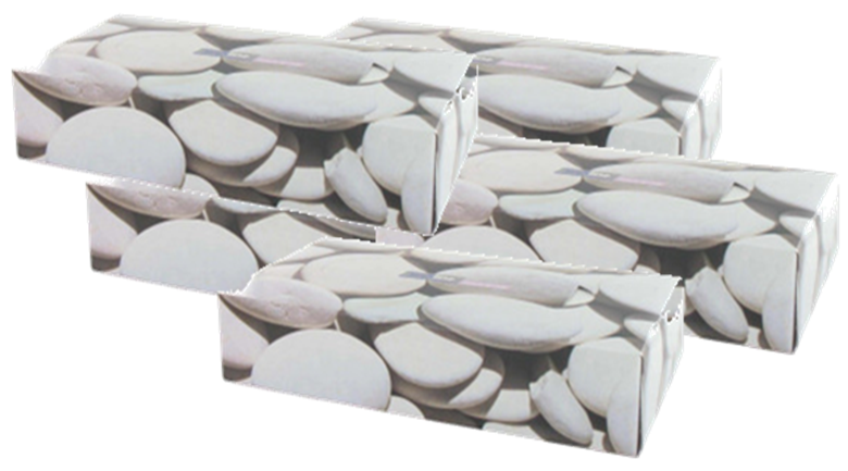 Techline 2P White Rectangular Tissue Box 100 Fts Ecolabel - Box of 40 boxes
