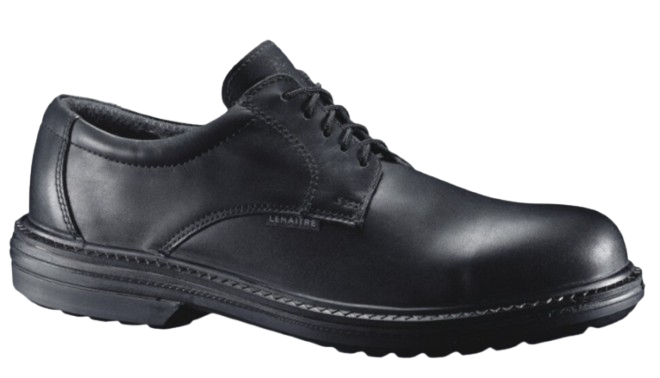 Chaussure basse lacet Pegase S3