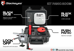 [IN159997] Complete Blackeyes Kit (requires M2M line for the control panel)