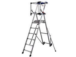 [PO160430] Plate-forme individuelle F6 PERFORM 6 marches stabilisateurs DV
