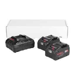 [EL132187] Pack of 2 5.5Ah batteries and a MAFELL charger